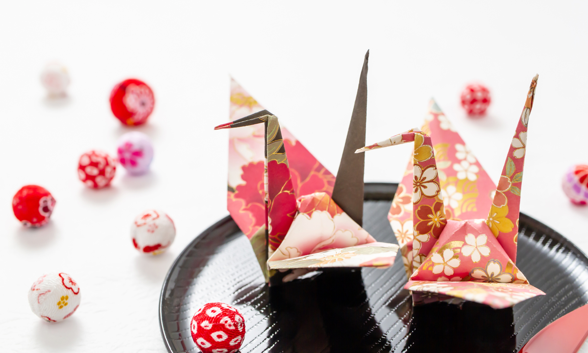 ECストアサイトをオープンいたしました。